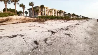 Beach renourishment after Hurricane Idalia