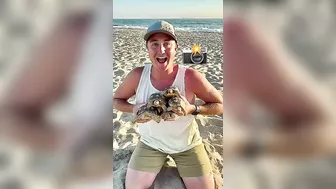 Baby Tortoises Go To Beach ????????️???? #shorts #tortoise