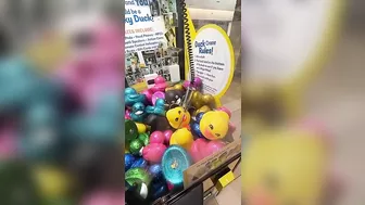 DAY 13 of the Lucky Duck Claw Machine Challenge!