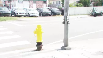 Sheared hydrant damages businesses in Ocean Beach