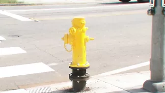 Sheared hydrant damages businesses in Ocean Beach