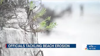 No Pinellas beach renourishment until all beachfront owners sign off