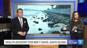 Health advisory issued for Ben T. Davis Beach over fecal pollution