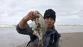 Surf Fishing for Huge Perch at Long Beach