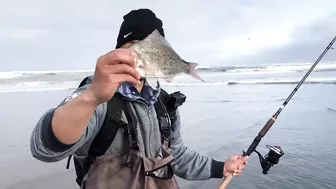 Surf Fishing for Huge Perch at Long Beach