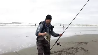 Surf Fishing for Huge Perch at Long Beach