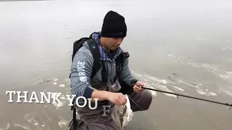 Surf Fishing for Huge Perch at Long Beach