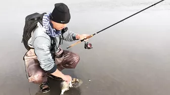 Surf Fishing for Huge Perch at Long Beach