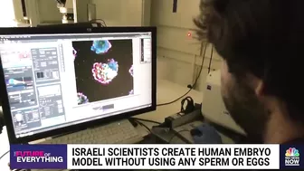 Israeli scientists create human embryo model without using sperm or eggs