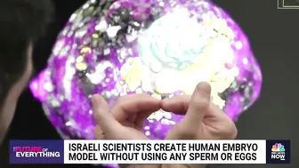 Israeli scientists create human embryo model without using sperm or eggs