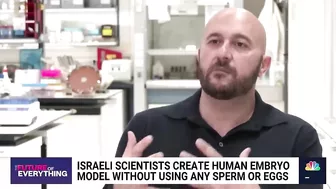 Israeli scientists create human embryo model without using sperm or eggs