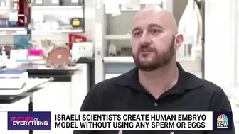 Israeli scientists create human embryo model without using sperm or eggs