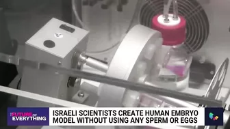 Israeli scientists create human embryo model without using sperm or eggs