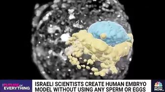 Israeli scientists create human embryo model without using sperm or eggs