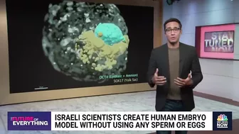 Israeli scientists create human embryo model without using sperm or eggs