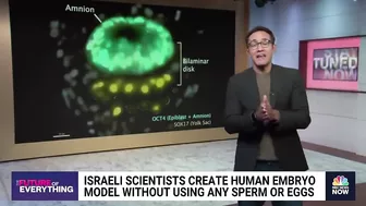 Israeli scientists create human embryo model without using sperm or eggs