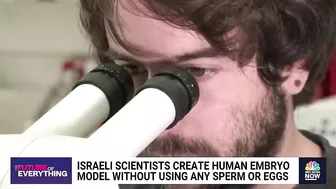 Israeli scientists create human embryo model without using sperm or eggs