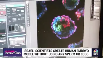 Israeli scientists create human embryo model without using sperm or eggs