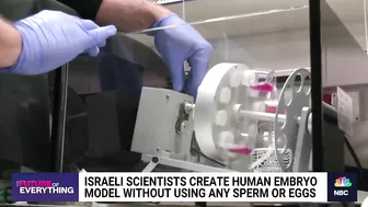 Israeli scientists create human embryo model without using sperm or eggs