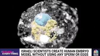 Israeli scientists create human embryo model without using sperm or eggs