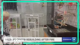 After tragic fire, Madeira Beach wildlife center opens temporary location while rebuild continues