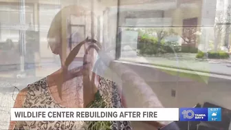 After tragic fire, Madeira Beach wildlife center opens temporary location while rebuild continues