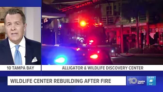 After tragic fire, Madeira Beach wildlife center opens temporary location while rebuild continues