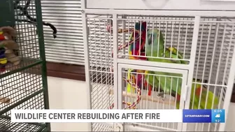 After tragic fire, Madeira Beach wildlife center opens temporary location while rebuild continues