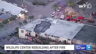 After tragic fire, Madeira Beach wildlife center opens temporary location while rebuild continues