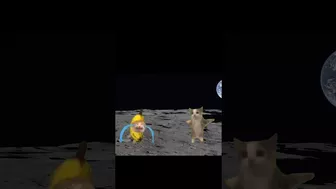 Happy and banana cat on the moon #compilation #shorts #ytshorts