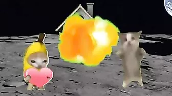 Happy and banana cat on the moon #compilation #shorts #ytshorts