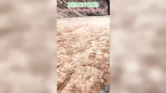 THUG LIFE BEACH BOB #shorts #ark #shortvideo #arkmemes