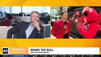 Live on The Stream with Benny the Bull