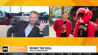 Live on The Stream with Benny the Bull