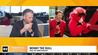 Live on The Stream with Benny the Bull