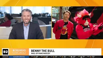 Live on The Stream with Benny the Bull