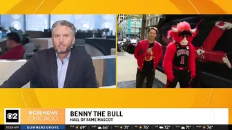 Live on The Stream with Benny the Bull