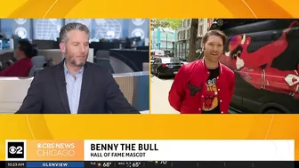 Live on The Stream with Benny the Bull