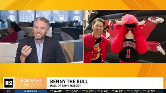 Live on The Stream with Benny the Bull