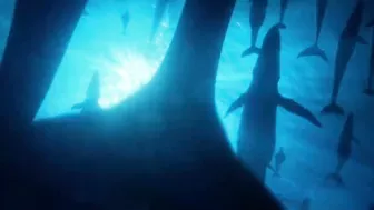 Aquaman and the Lost Kingdom Trailer #1 (2023)