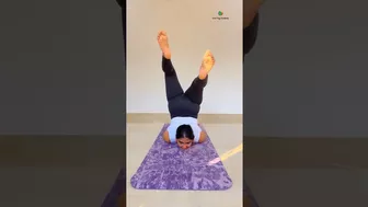 Back bending yoga pose | Chest stand #yogaurmi #yoga #yogapose #yogawithurmipandya #urmiyogaacademy