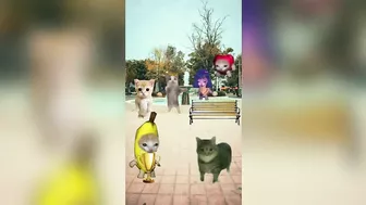 Happy Cat TikTok Compilation 4 - Banana Cat Series - The Cat Adventures