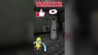 Happy Cat TikTok Compilation 4 - Banana Cat Series - The Cat Adventures