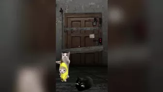 Happy Cat TikTok Compilation 4 - Banana Cat Series - The Cat Adventures