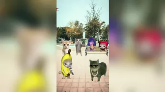 Happy Cat TikTok Compilation 4 - Banana Cat Series - The Cat Adventures