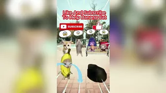 Happy Cat TikTok Compilation 4 - Banana Cat Series - The Cat Adventures