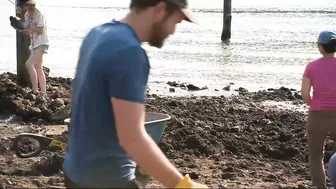 Community clean up project helps make way for new beach in North Portland