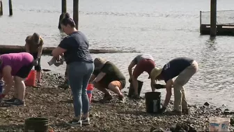 Community clean up project helps make way for new beach in North Portland