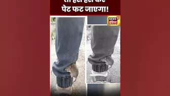 Cat Mouse Funny Video : बिल्ली के डर से कहां छिपा चूहा, देख लो | Viral Video | N18S | #shorts