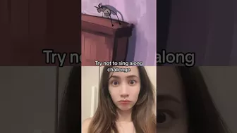 Try Not To Sing Challenge